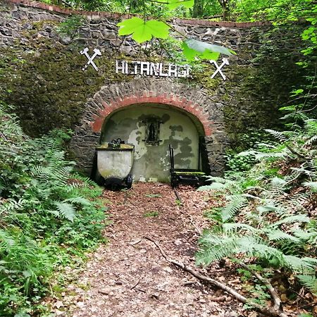 Ferienhaus 30 Am Silbersee Frielendorf 外观 照片